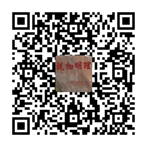 91网